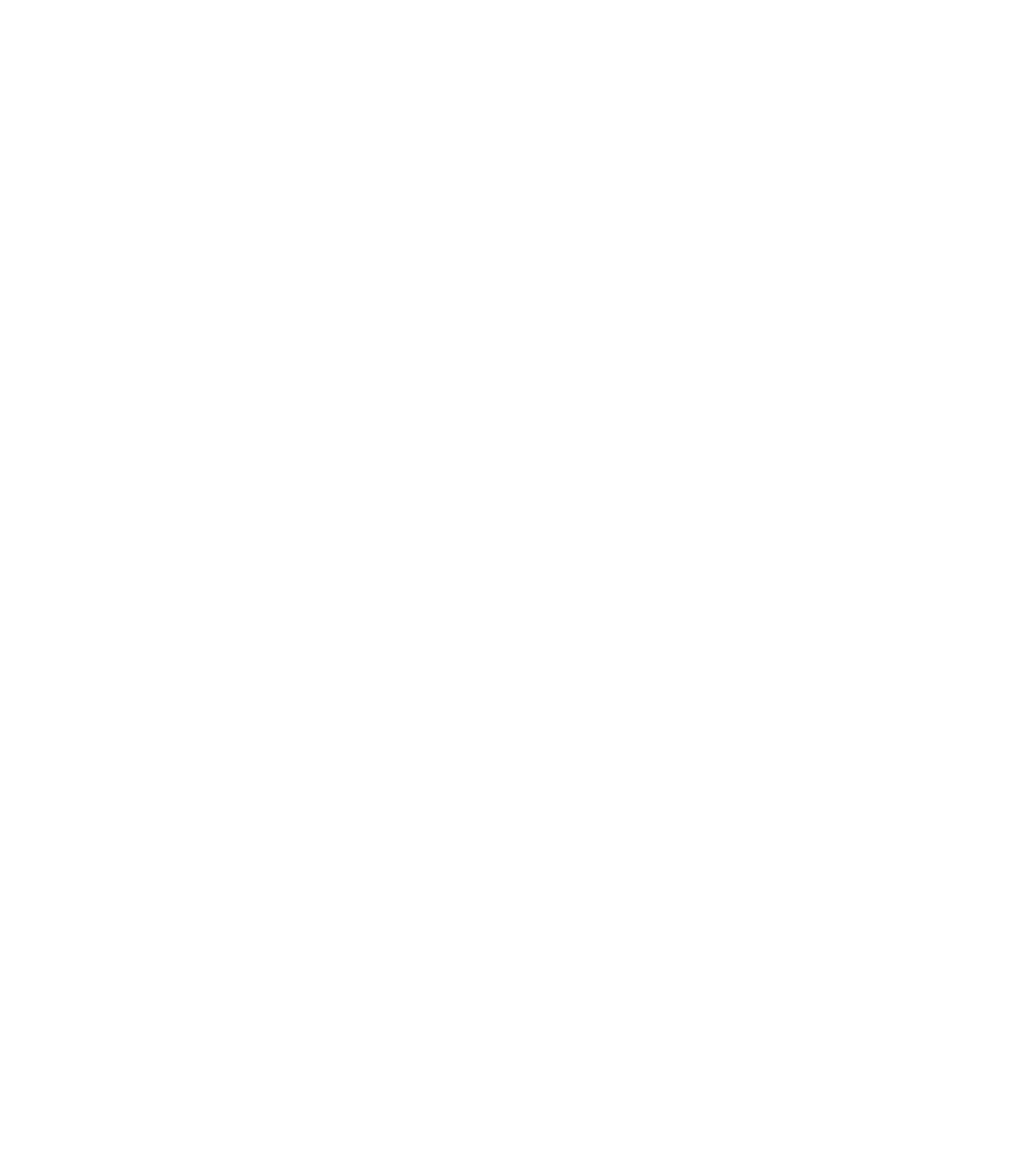 image not found